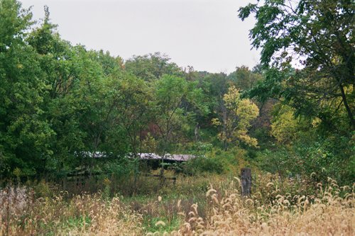 Property photo 2 - 184 Acres Hunter's Paradise in Renowned Dutch Creek, Pike County, Illinois
