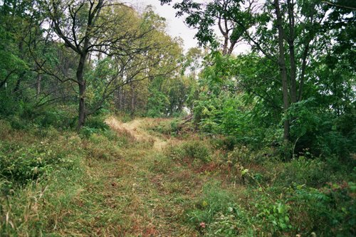 Property photo 14 - 184 Acres Hunter's Paradise in Renowned Dutch Creek, Pike County, Illinois

