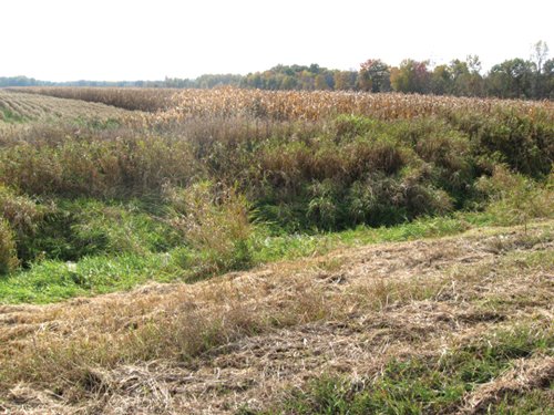 Property photo 21 - 212 Acres Offered in 6 Tracts - Selling Regardless of Price
