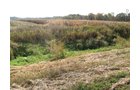 Property photo 21 - 212 Acres Offered in 6 Tracts - Selling Regardless of Price
