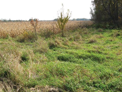 Property photo 10 - 212 Acres Offered in 6 Tracts - Selling Regardless of Price
