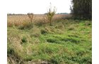 Property photo 10 - 212 Acres Offered in 6 Tracts - Selling Regardless of Price
