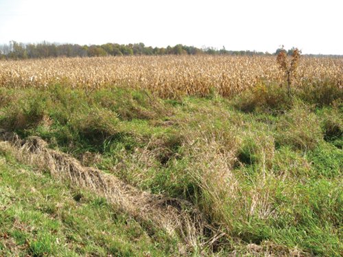Property photo 29 - 212 Acres Offered in 6 Tracts - Selling Regardless of Price

