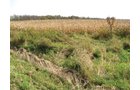 Property photo 29 - 212 Acres Offered in 6 Tracts - Selling Regardless of Price
