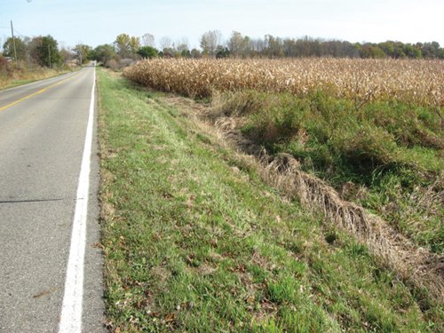 Property photo 19 - 212 Acres Offered in 6 Tracts - Selling Regardless of Price
