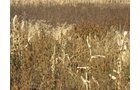Property photo 28 - 212 Acres Offered in 6 Tracts - Selling Regardless of Price
