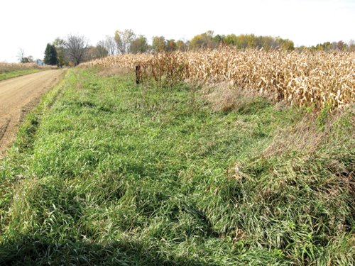 Property photo 4 - 212 Acres Offered in 6 Tracts - Selling Regardless of Price
