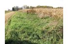 Property photo 4 - 212 Acres Offered in 6 Tracts - Selling Regardless of Price
