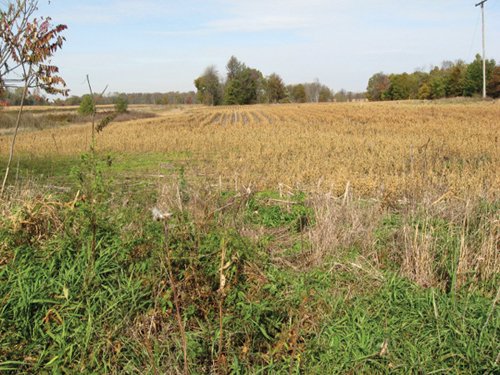 Property photo 26 - 212 Acres Offered in 6 Tracts - Selling Regardless of Price
