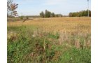 Property photo 26 - 212 Acres Offered in 6 Tracts - Selling Regardless of Price
