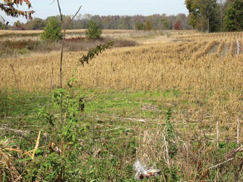 Property photo 31 - 212 Acres Offered in 6 Tracts - Selling Regardless of Price
