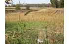 Property photo 31 - 212 Acres Offered in 6 Tracts - Selling Regardless of Price
