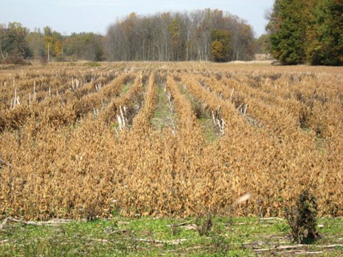 Property photo 25 - 212 Acres Offered in 6 Tracts - Selling Regardless of Price
