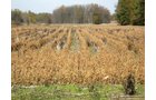Property photo 25 - 212 Acres Offered in 6 Tracts - Selling Regardless of Price
