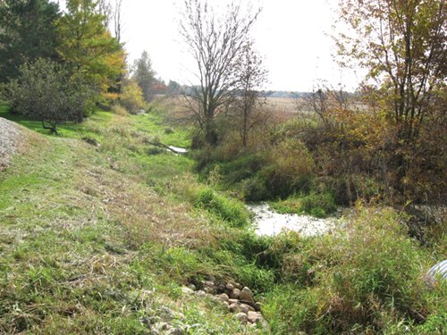 Property photo 11 - 212 Acres Offered in 6 Tracts - Selling Regardless of Price
