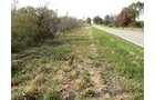 Property photo 5 - 212 Acres Offered in 6 Tracts - Selling Regardless of Price

