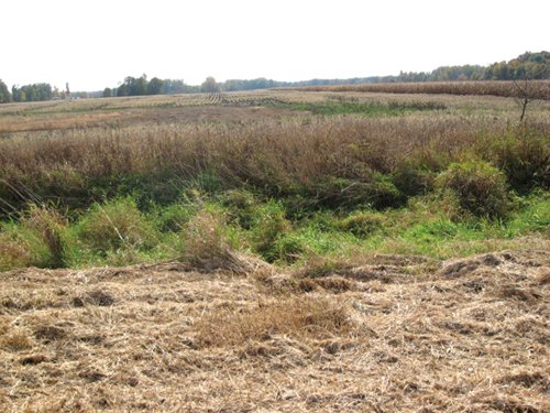 Property photo 6 - 212 Acres Offered in 6 Tracts - Selling Regardless of Price

