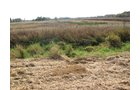 Property photo 6 - 212 Acres Offered in 6 Tracts - Selling Regardless of Price
