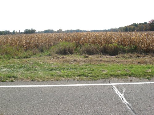 Property photo 14 - 212 Acres Offered in 6 Tracts - Selling Regardless of Price

