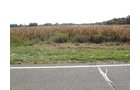 Property photo 14 - 212 Acres Offered in 6 Tracts - Selling Regardless of Price
