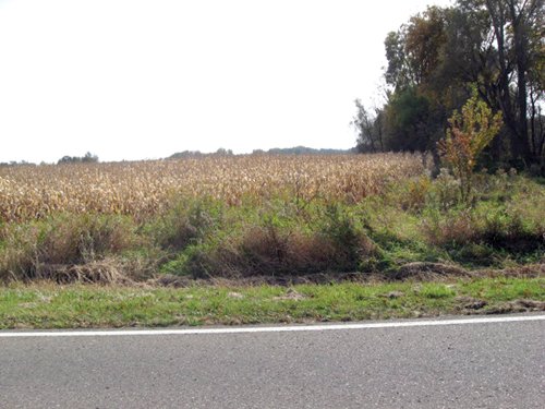 Property photo 17 - 212 Acres Offered in 6 Tracts - Selling Regardless of Price
