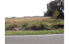 Property photo 17 - 212 Acres Offered in 6 Tracts - Selling Regardless of Price

