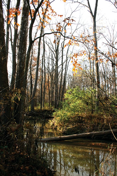 Property photo 8 - 30 Acres Offered in 3 Tracts
