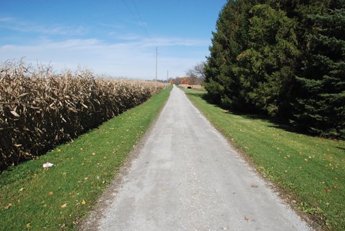 Property photo 5 - 117 Acres Offered in 6 Tracts
