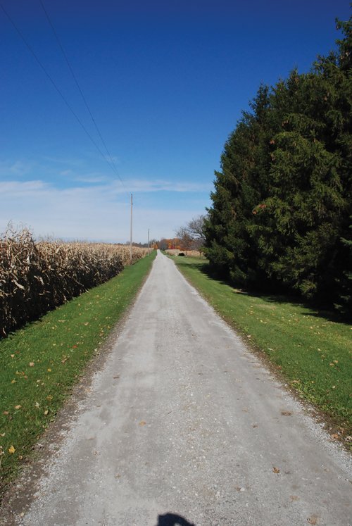 Property photo 7 - 117 Acres Offered in 6 Tracts
