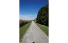 Property photo 7 - 117 Acres Offered in 6 Tracts
