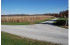 Property photo 82 - 117 Acres Offered in 6 Tracts
