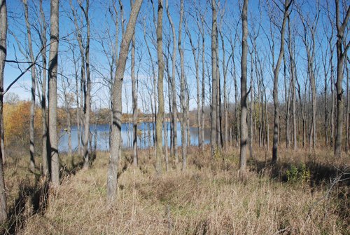 Property photo 72 - 117 Acres Offered in 6 Tracts
