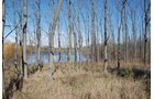 Property photo 72 - 117 Acres Offered in 6 Tracts
