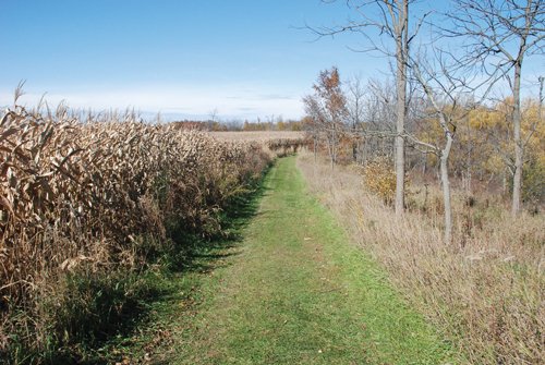 Property photo 53 - 117 Acres Offered in 6 Tracts
