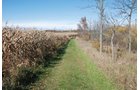 Property photo 53 - 117 Acres Offered in 6 Tracts
