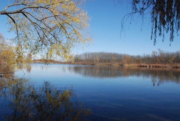 117 Acres Offered in 6 Tracts
