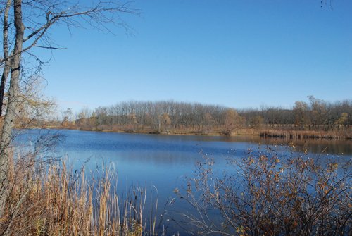 Property photo 92 - 117 Acres Offered in 6 Tracts
