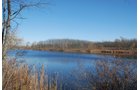 Property photo 92 - 117 Acres Offered in 6 Tracts
