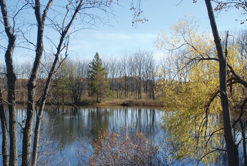 Property photo 10 - 117 Acres Offered in 6 Tracts
