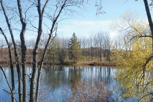 Property photo 16 - 117 Acres Offered in 6 Tracts
