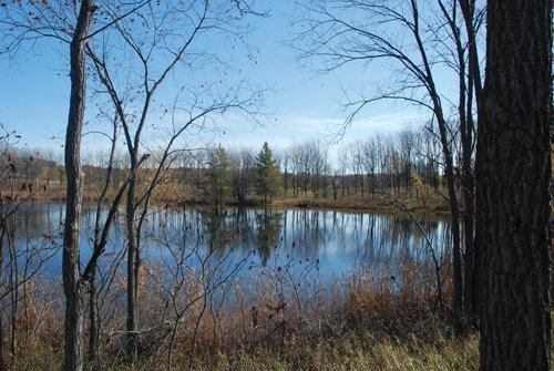 Property photo 9 - 117 Acres Offered in 6 Tracts
