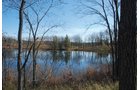 Property photo 9 - 117 Acres Offered in 6 Tracts
