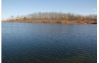 Property photo 59 - 117 Acres Offered in 6 Tracts
