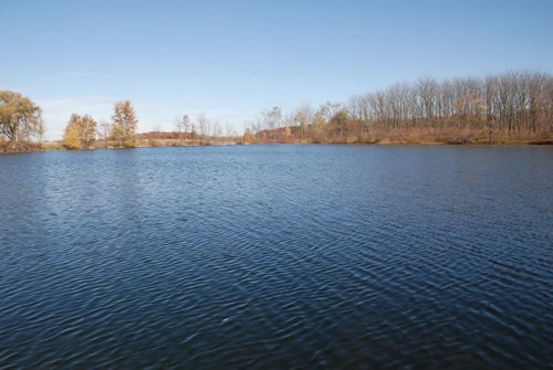 Property photo 90 - 117 Acres Offered in 6 Tracts
