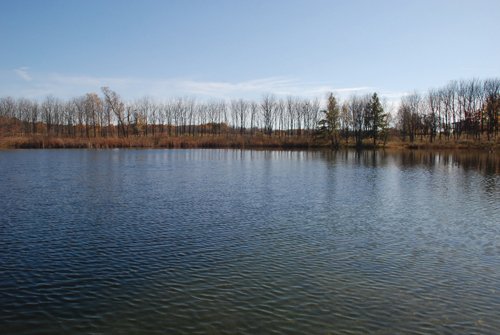 Property photo 40 - 117 Acres Offered in 6 Tracts
