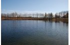 Property photo 40 - 117 Acres Offered in 6 Tracts
