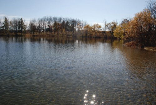 Property photo 102 - 117 Acres Offered in 6 Tracts

