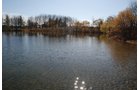 Property photo 102 - 117 Acres Offered in 6 Tracts
