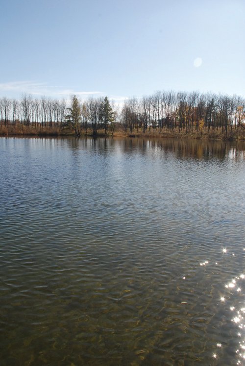 Property photo 1 - 117 Acres Offered in 6 Tracts
