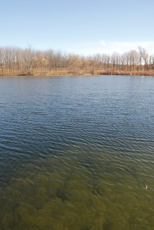 Property photo 48 - 117 Acres Offered in 6 Tracts
